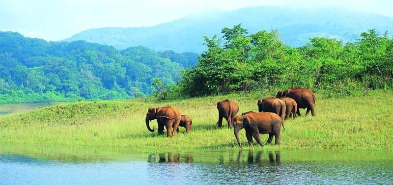 KERALA TOUR